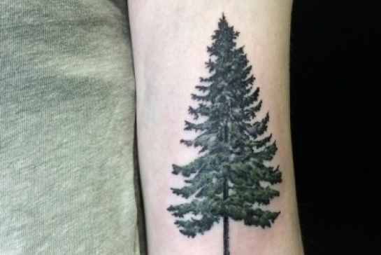 Татуировка дерево